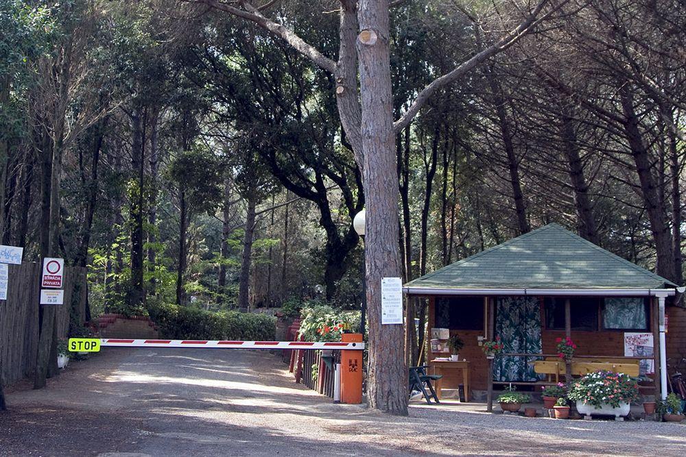 Villaggio Club Cecina Marina di Cecina Dış mekan fotoğraf