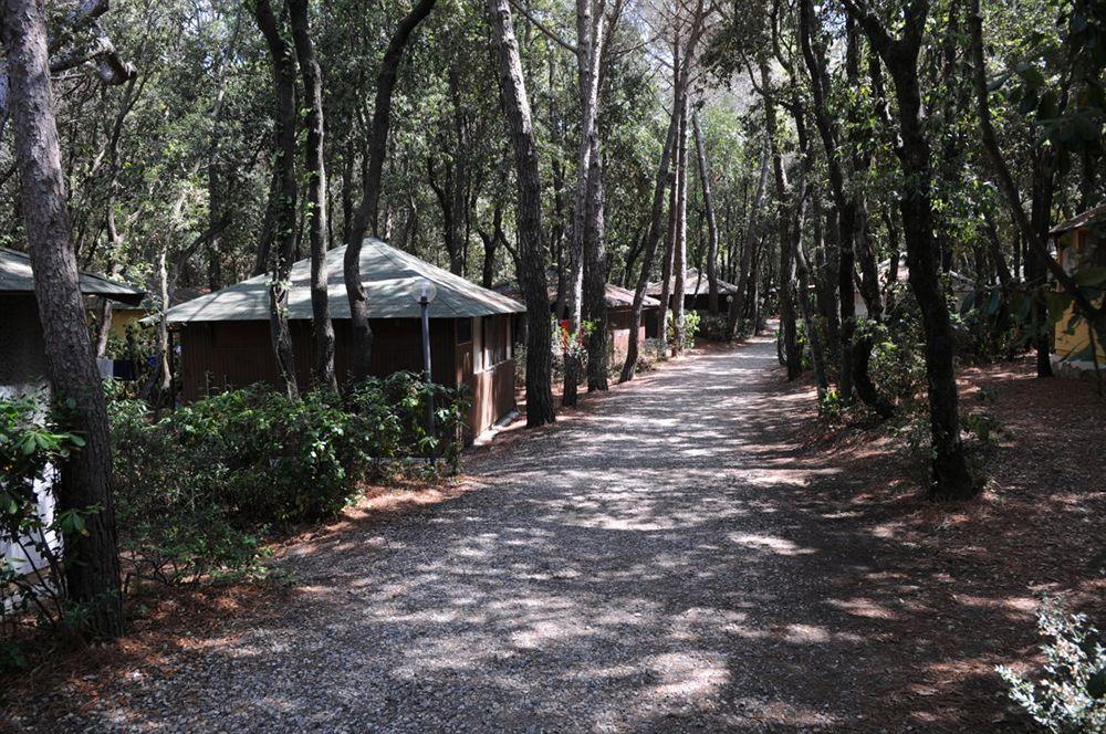 Villaggio Club Cecina Marina di Cecina Dış mekan fotoğraf