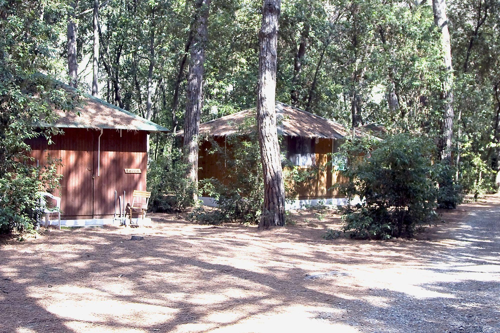Villaggio Club Cecina Marina di Cecina Dış mekan fotoğraf